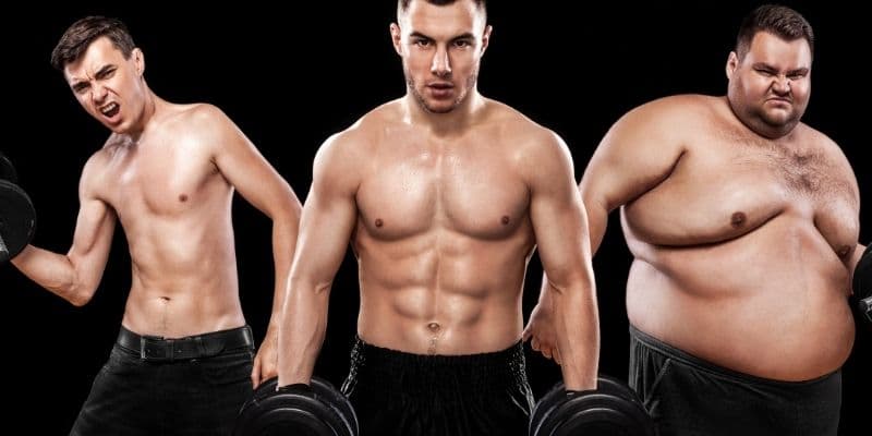 Mesomorph vs Endomorph - Which One Are You? And Why It Matters